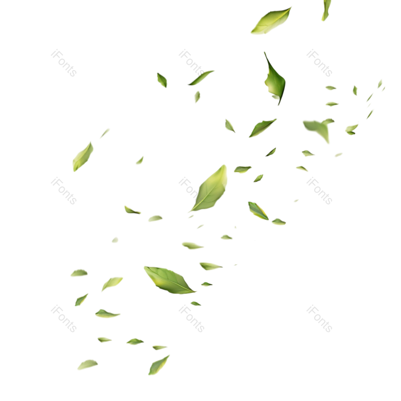 装饰图片,动感元素,绿叶PNG,树叶免抠素材